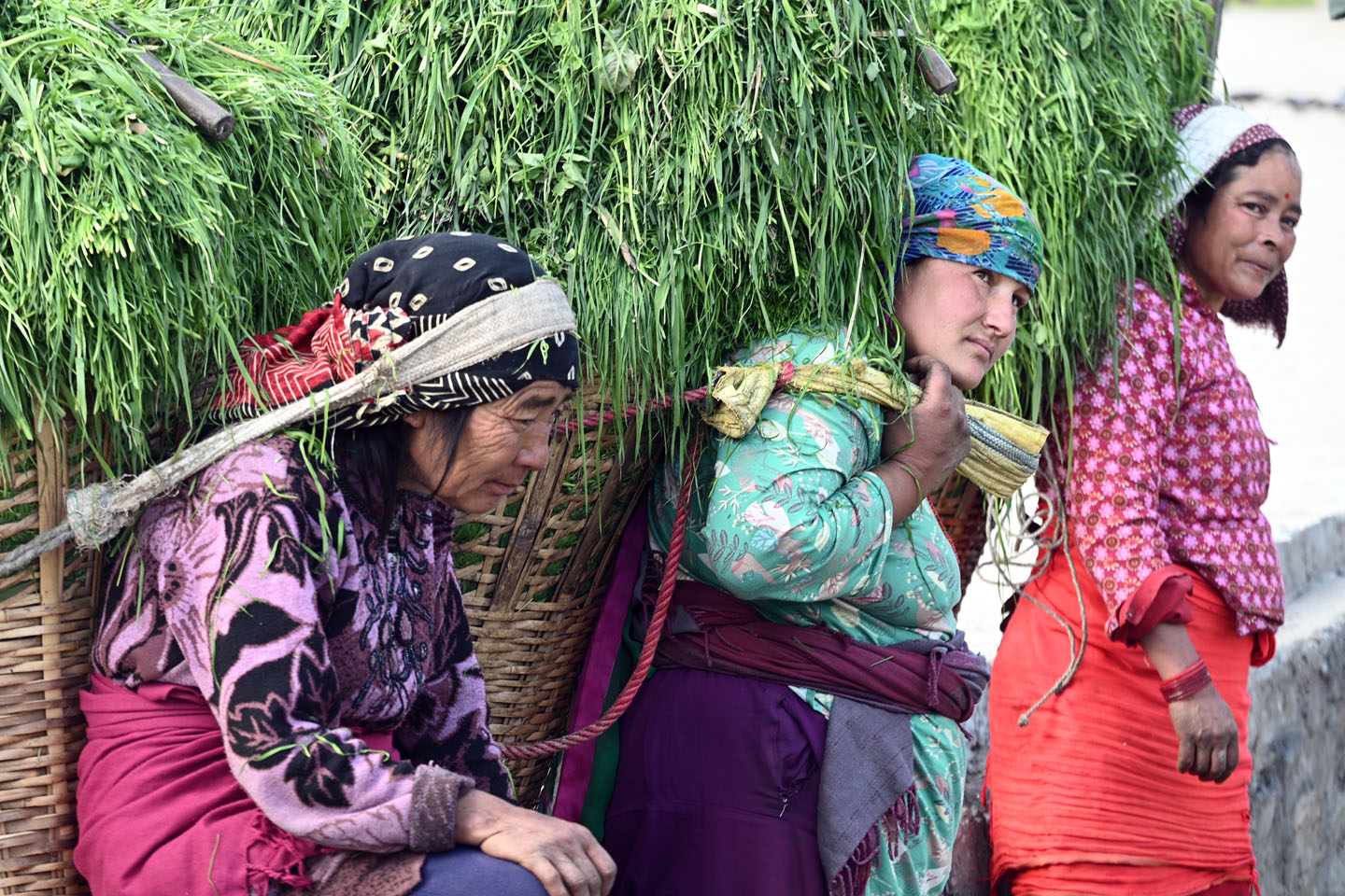 नेपालीको मासिक आम्दानी १३ सय ९५ रुपैयाँ बढ्यो, कुन क्षेत्रमा कति फेरवदल ?